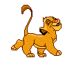 Malý--Simba.gif